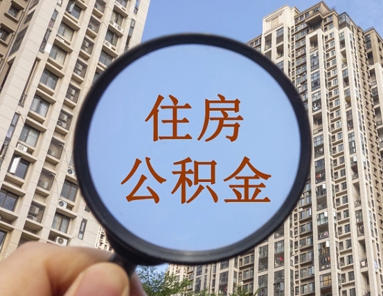 儋州退休后查不到公积金明细了吗（退休后公积金查询不到原因）
